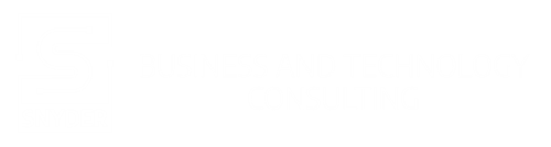Snyder Business and Technology Consulting